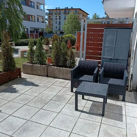 Platan 3 *